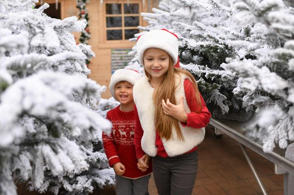 Quels sont les avantages des plantes artificielles ?