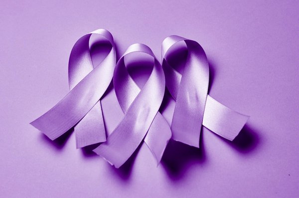 Les punaises de lit : comment s'en débarrasser efficacement ?