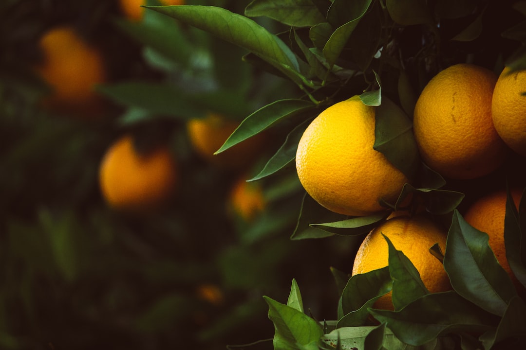 Comment utiliser le citron contre les moustiques ?